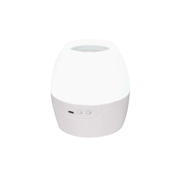 2 IN 1 8W LED NIGHT LIGHT & PROJECTOR WITH 4 PATTERNS AND 1M USB CABLE OR 3XAA ACA - BALLOON
