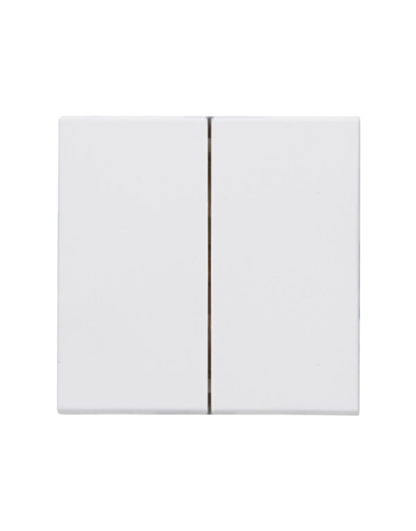 HK07 - Double Rocker pad, with spring plate, for series switch, double change over switch, double pushbutton switch, protection - 1-K490313004
