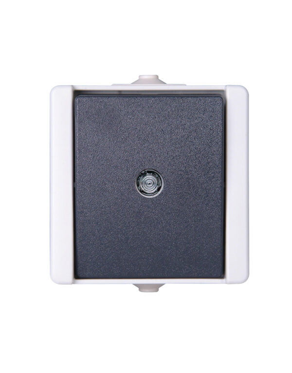 ProAQA ΜΠΟΥΤΟΝ ΕΞΩΤΕΡΙΚΟ IP44 ΜΕ ΕΝΔ. ΔΙΑΦ. ΓΚΡΙ - 1-K540396001