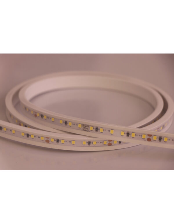 FLAT NEON FLEX LED TAINIA 11W 4000K 24V 1000lm 220° IP65 DIMMABLE 5M UNIVERSE - 2-U011266