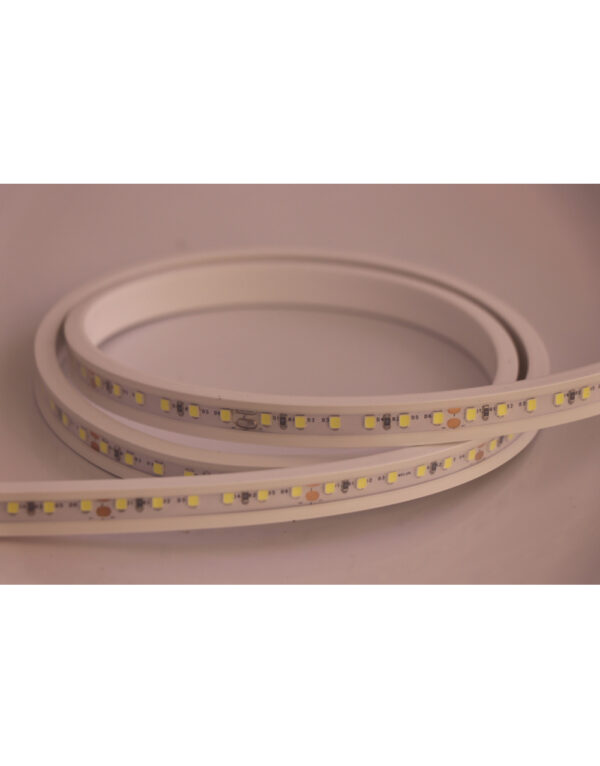 FLAT NEON FLEX LED TAINIA 11W 6000K 24V 1000lm 220° IP65 DIMMABLE 5M UNIVERSE - 2-U011273
