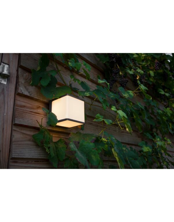TAINIA 19.2W IP65 24V 2700K 240LED TORA 5m - 2-CL500212