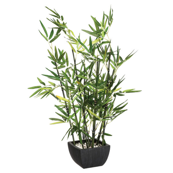 Φυτό σε γλάστρα Green pakoworld 43x34x67εκ - 199-000211