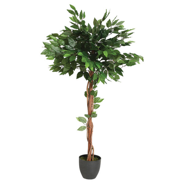 Φυτό σε γλάστρα Green8 pakoworld 45x45x120εκ - 199-000253