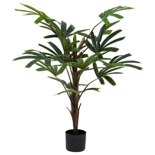 Φυτό σε γλάστρα Emeric pakoworld 15x13x120εκ - 199-000538