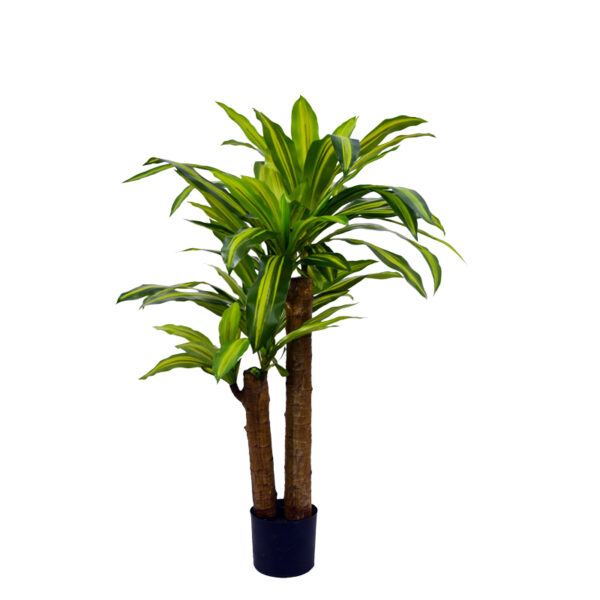Διακοσμητικό φυτό  Dracaena σε γλάστρα Inart πράσινο pp Υ110εκ - 316-000008