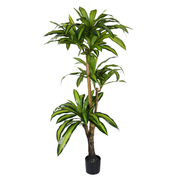 Διακοσμητικό φυτό Dracaena I σε γλάστρα Inart  πράσινο pp Υ170εκ - 316-000009