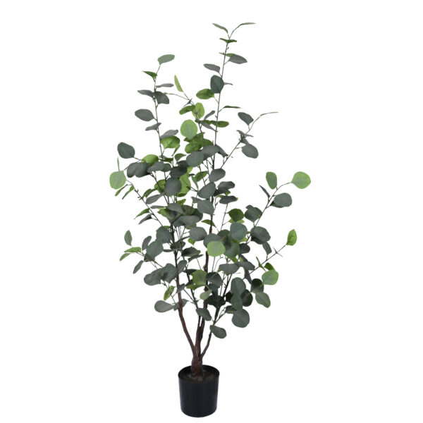 Διακοσμητικό φυτό Eucalyptus σε γλάστρα Inart πράσινο pp Υ120εκ - 316-000014