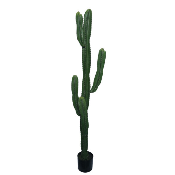 Διακοσμητικό φυτό Cactus I σε γλάστρα Inart πράσινο pp Υ155εκ - 316-000022