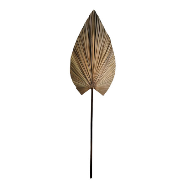 Διακοσμητικό φύλλο Leafen pakoworld φυσικό palm leaf 150 εκ - 335-000014