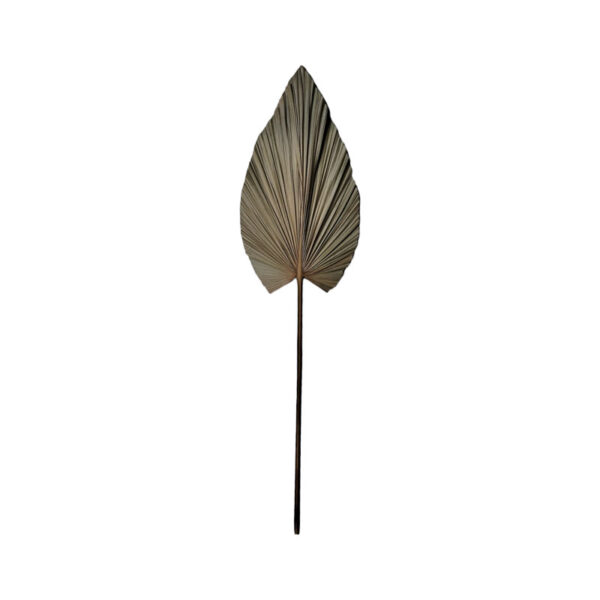 Διακοσμητικό φύλλο Leafen I Inart φυσικό palm leaf 130εκ - 335-000015