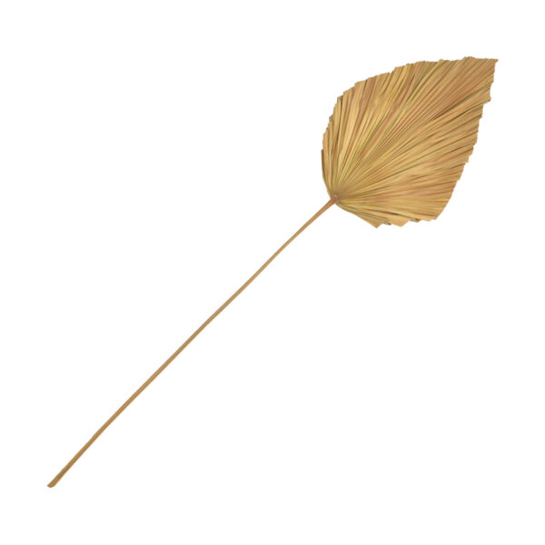 Διακοσμητικό φύλλο Walsy Inart palm leaf σε φυσική απόχρωση Υ135 εκ - 343-000115